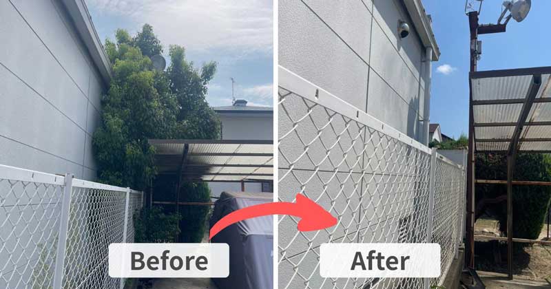 伐採によって枝葉がなくなり、住宅とフェンスの間の通路が開けて人が安全に通れるようになった様子。動線が確保され、視界も良好に。