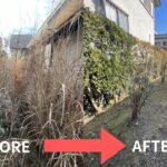 草が生い茂った庭（左）と、除草後にすっきり整った庭（右）の比較写真